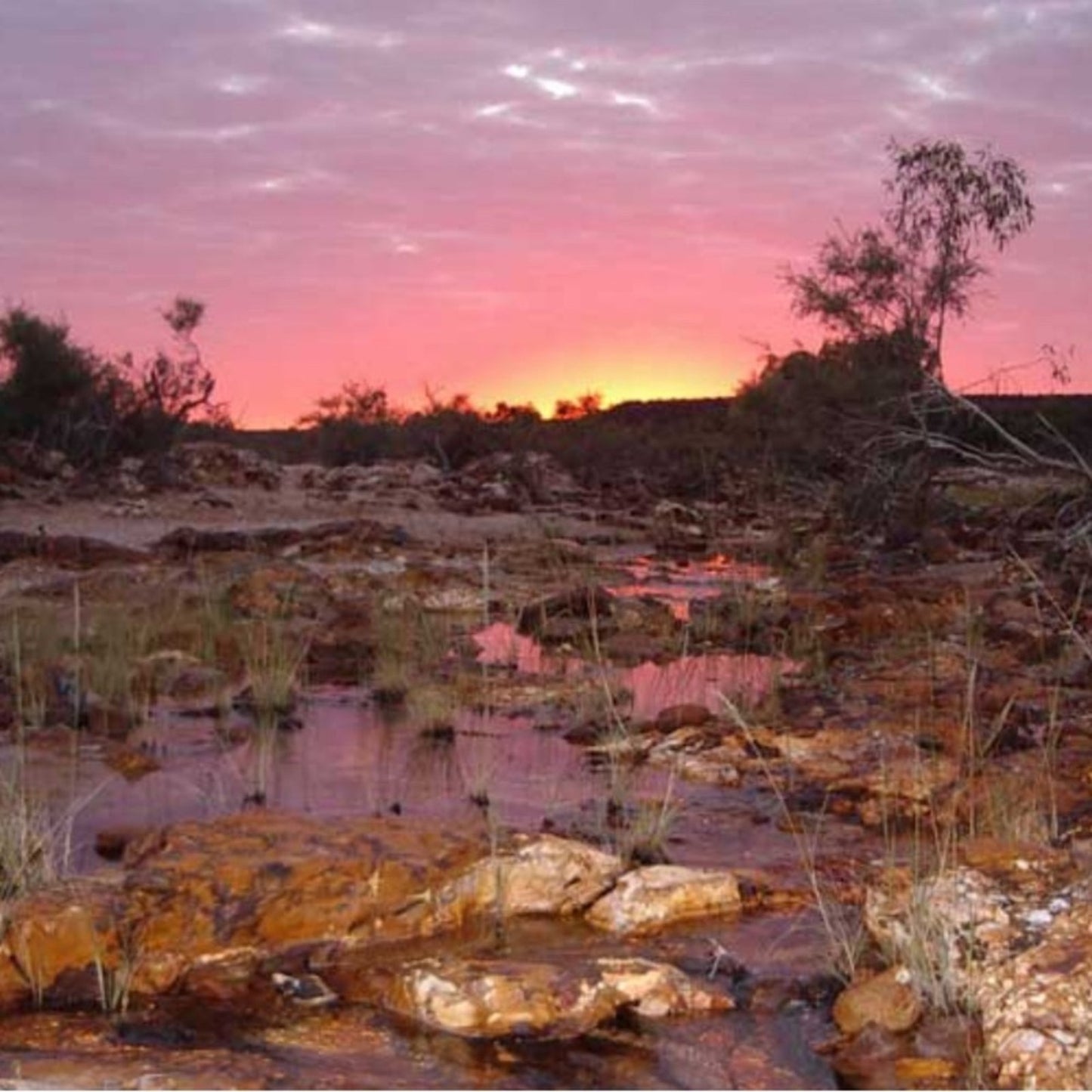 Mookaite slab - Purple Lavender combination! MOOKAITESLB-001