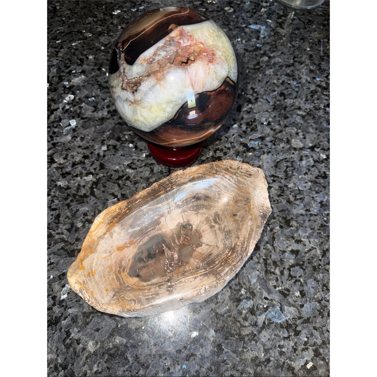 Petrified Wood Custom Bowl A 4.75 x 8.25 4+ LBS