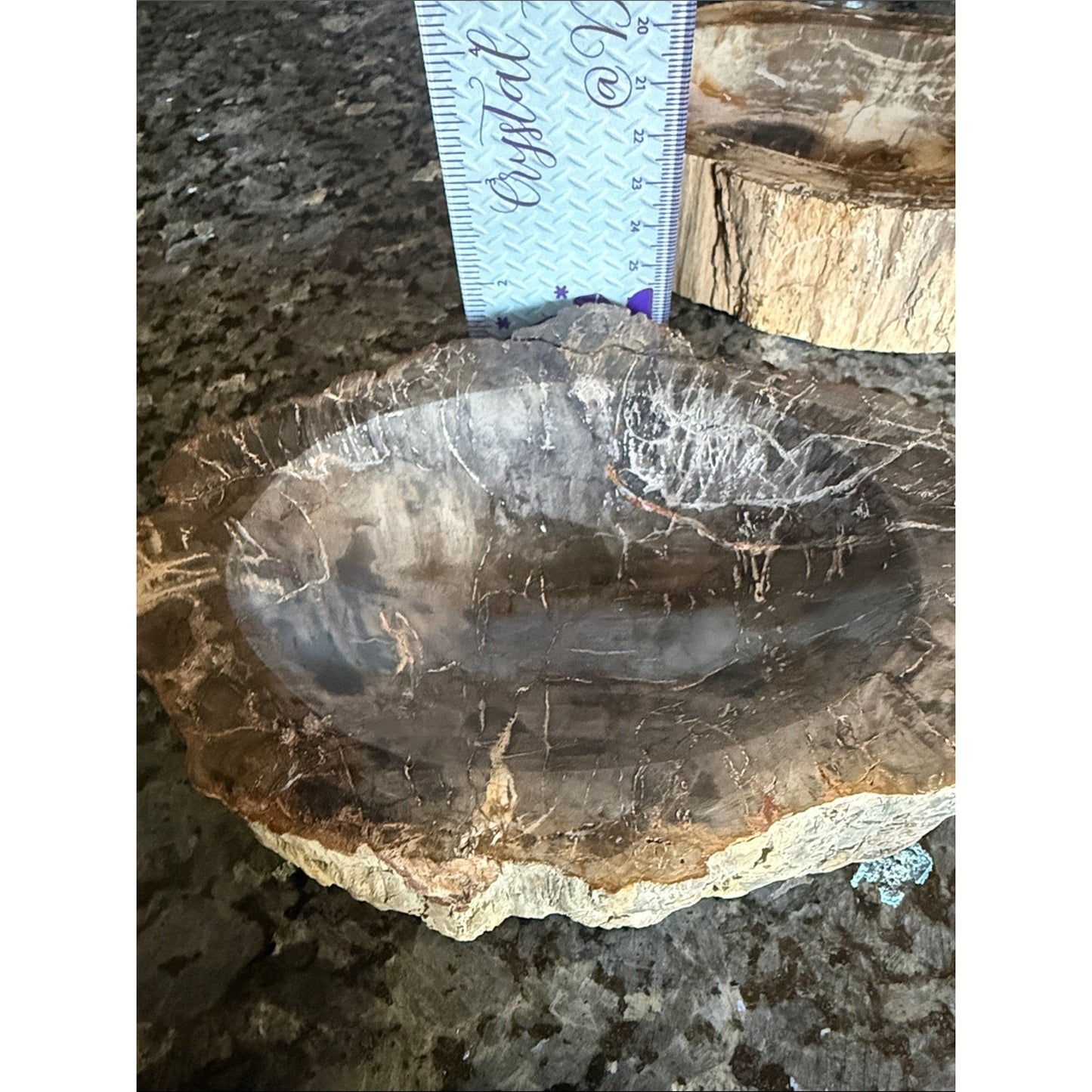 Petrified Wood Custom Bowl B 5 x 7.25” 4 LBS