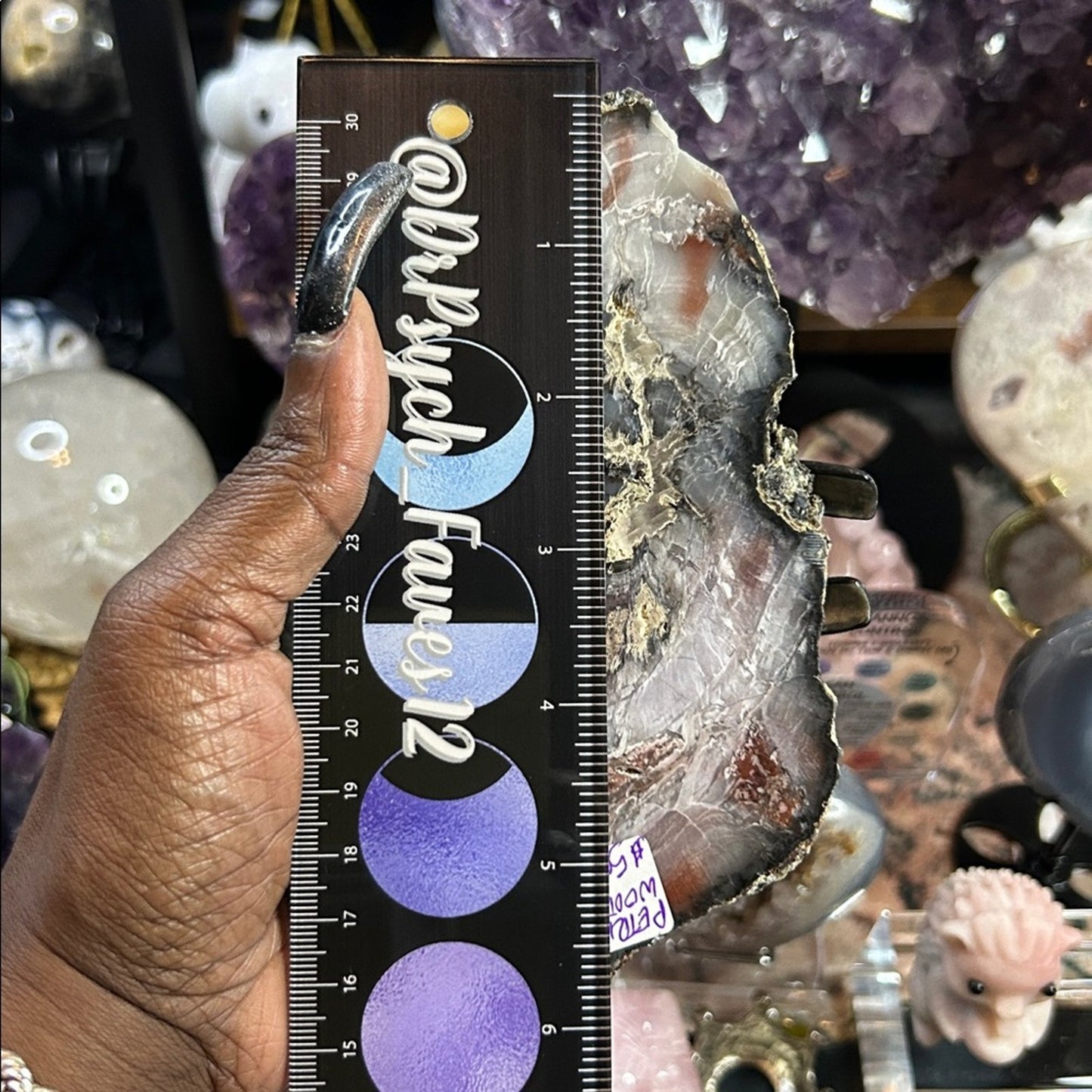 Petrified Wood & Calcite Specimen