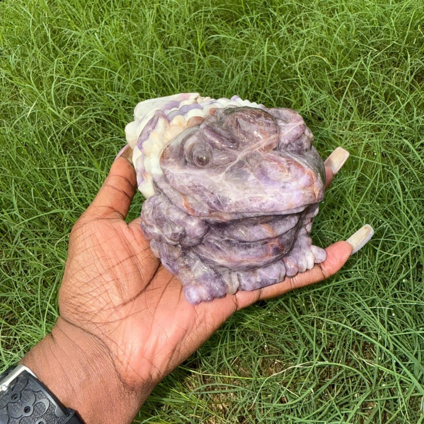 Dream Amethyst Crystal Money Toad 3lbs
