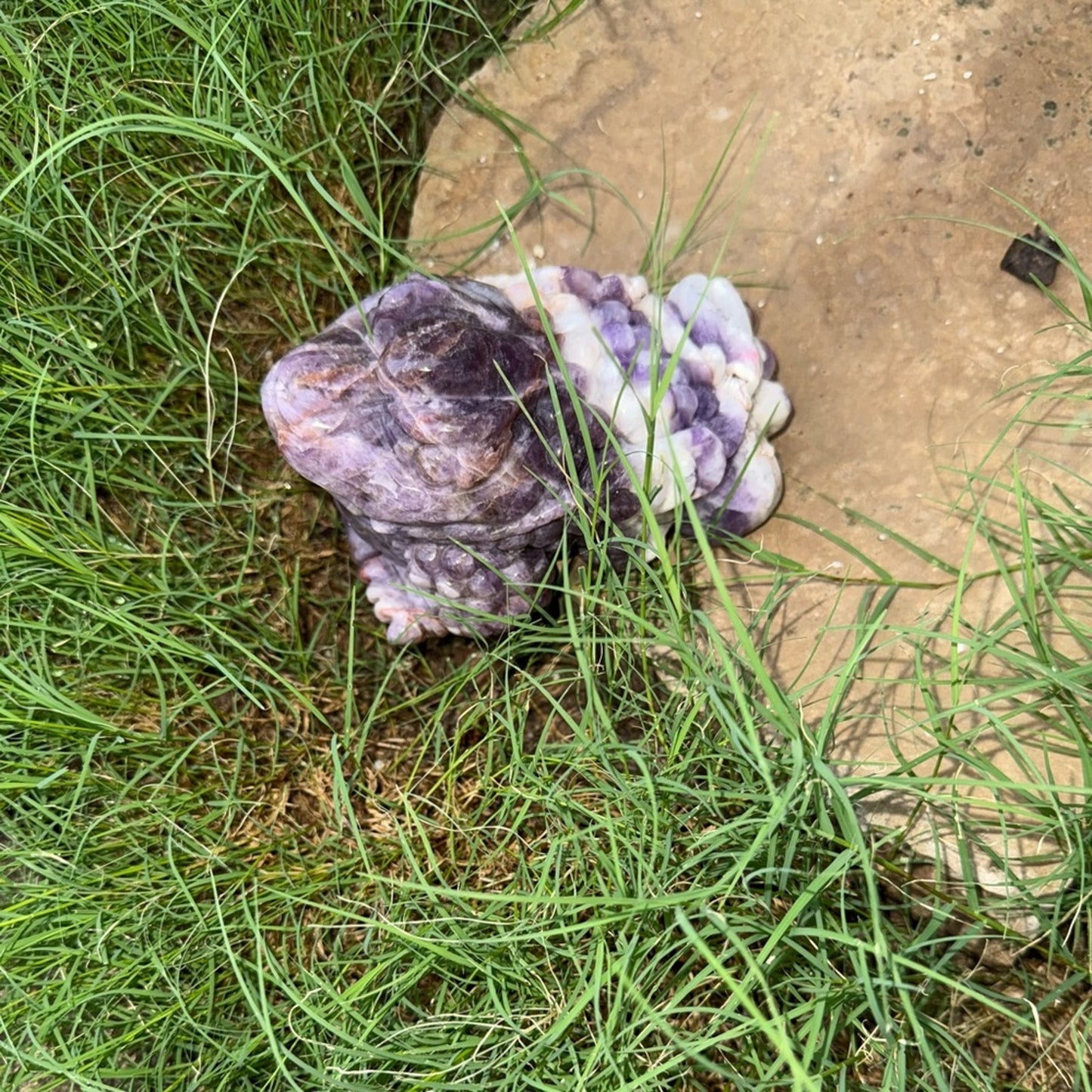 Dream Amethyst Crystal Money Toad 3lbs