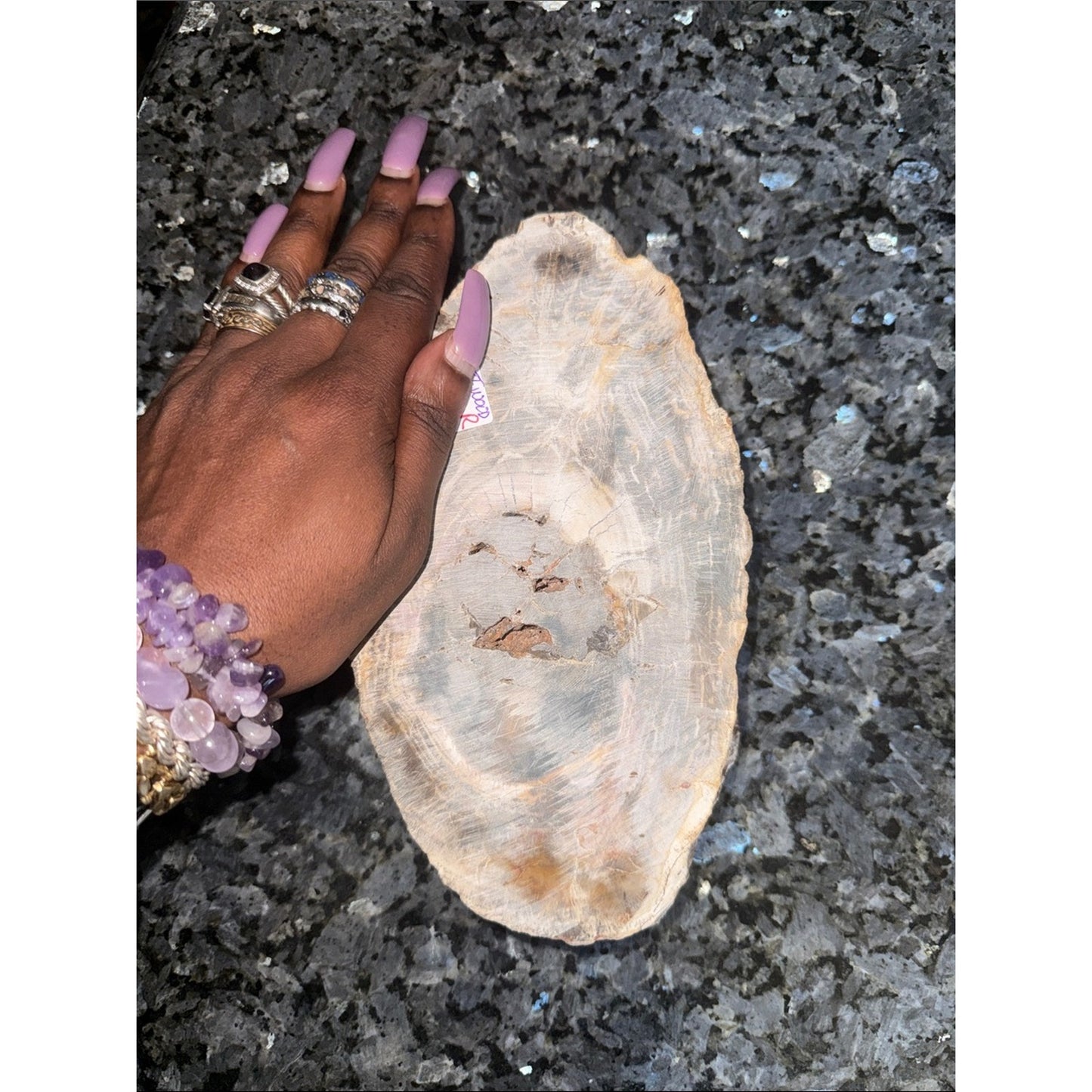 Petrified Wood Custom Bowl A 4.75 x 8.25 4+ LBS