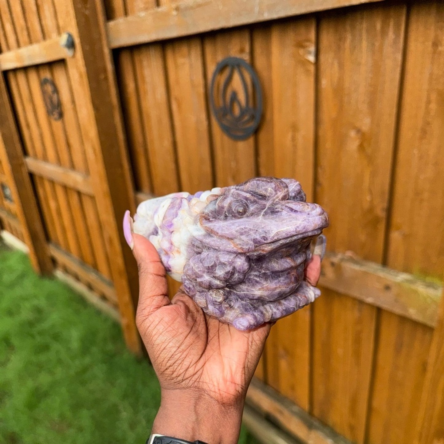 Dream Amethyst Crystal Money Toad 3lbs
