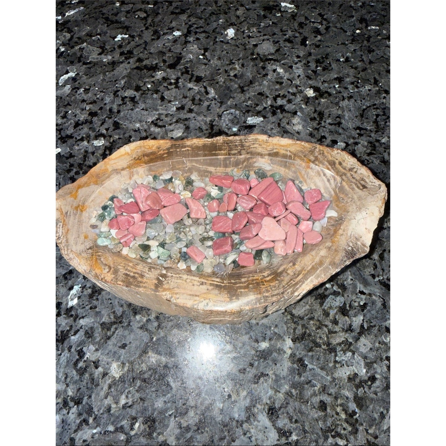 Petrified Wood Custom Bowl A 4.75 x 8.25 4+ LBS