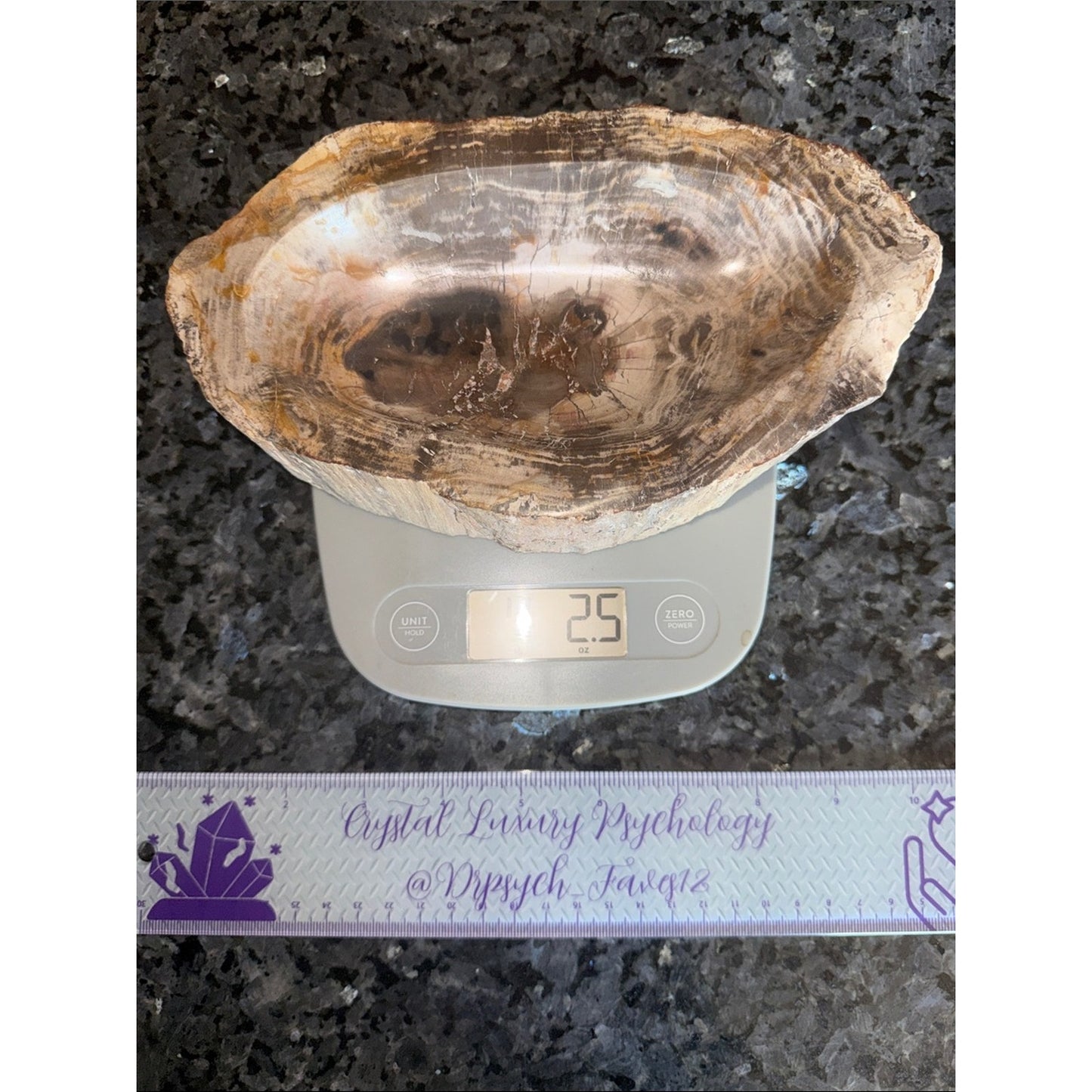 Petrified Wood Custom Bowl A 4.75 x 8.25 4+ LBS