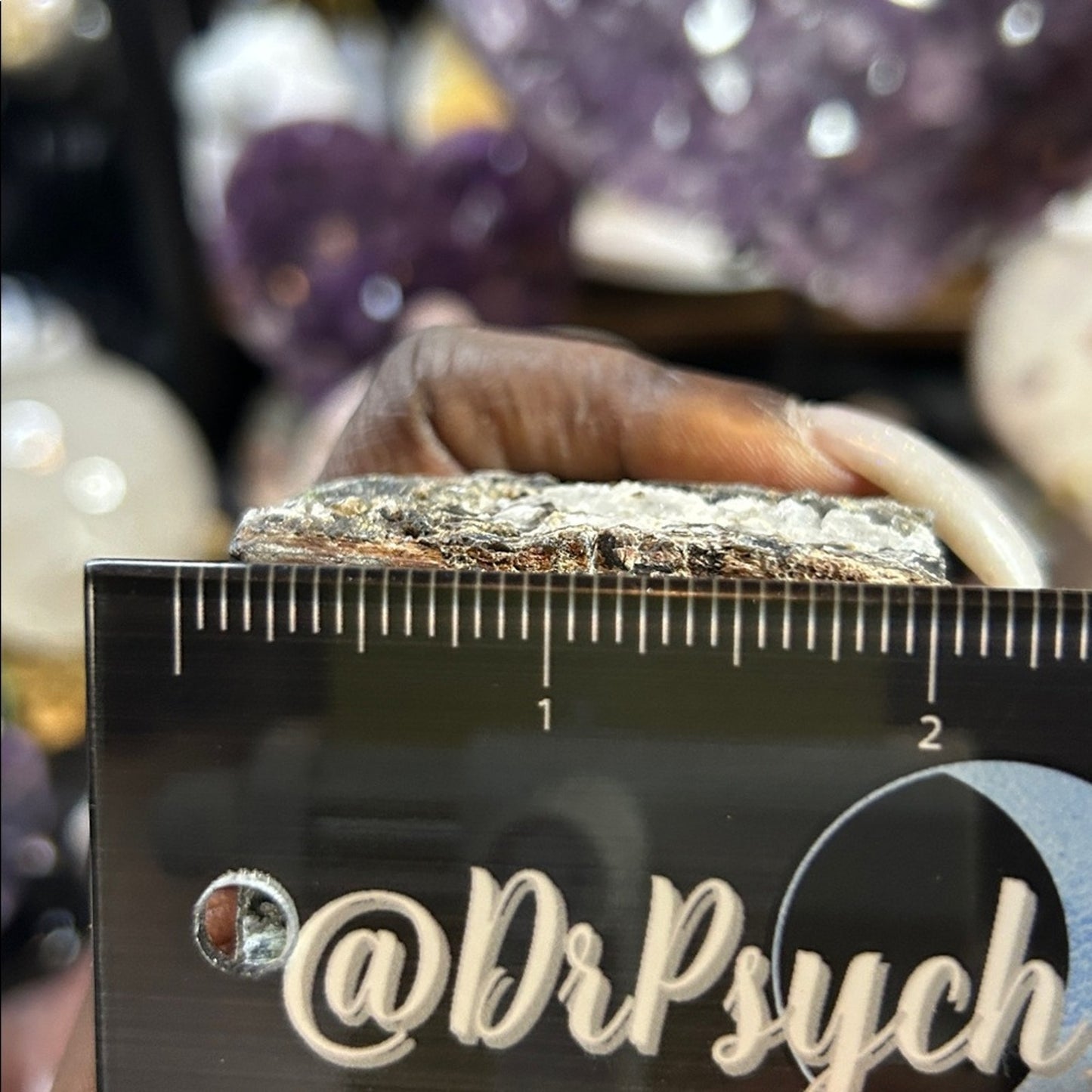 Petrified Wood & Calcite Specimen