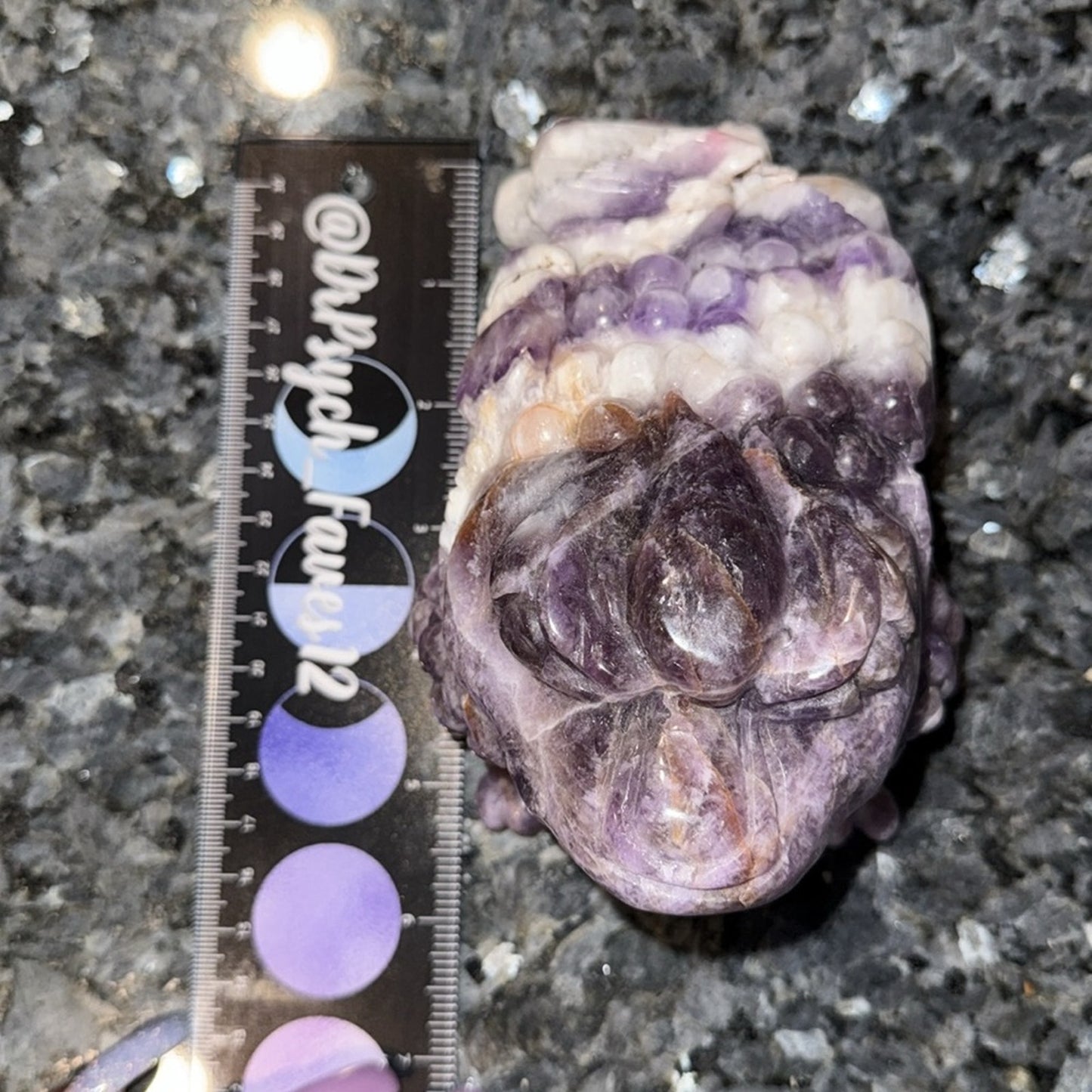 Dream Amethyst Crystal Money Toad 3lbs