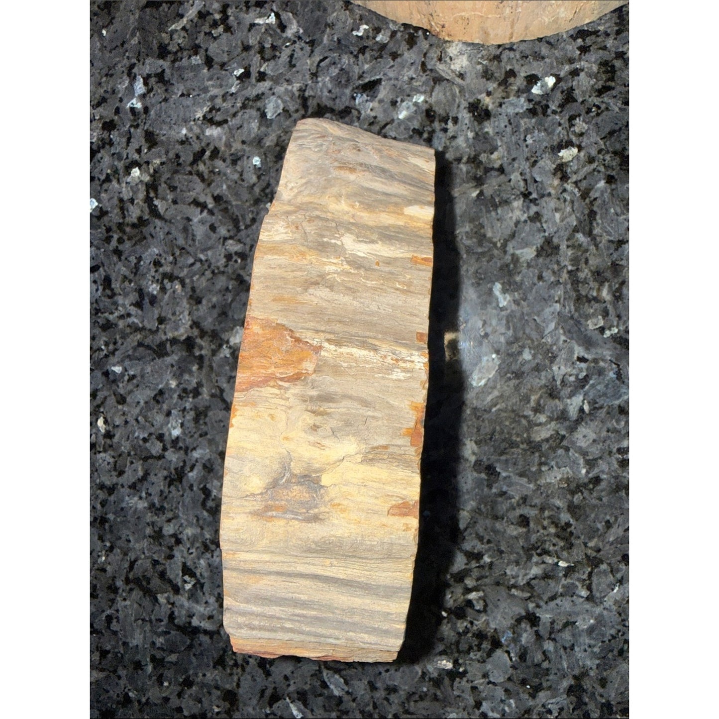 Petrified Wood Custom Bowl B 5 x 7.25” 4 LBS
