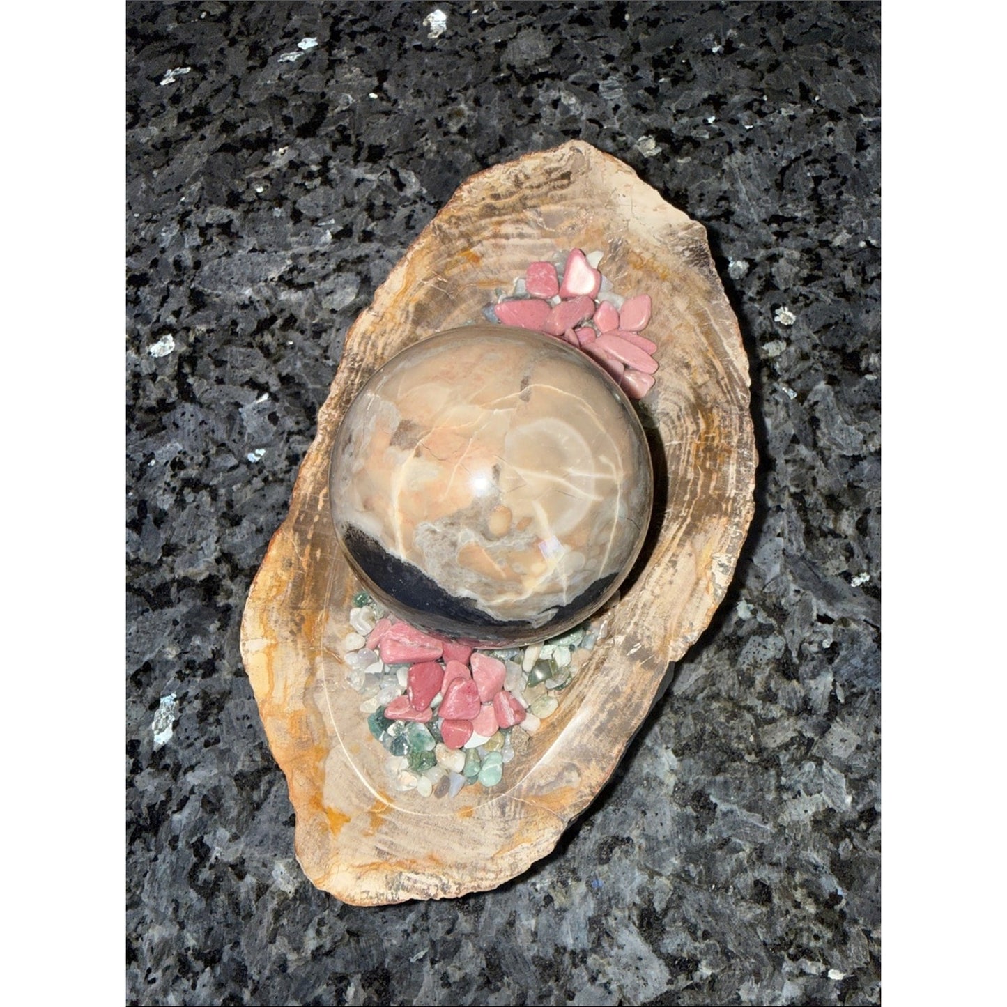 Petrified Wood Custom Bowl A 4.75 x 8.25 4+ LBS