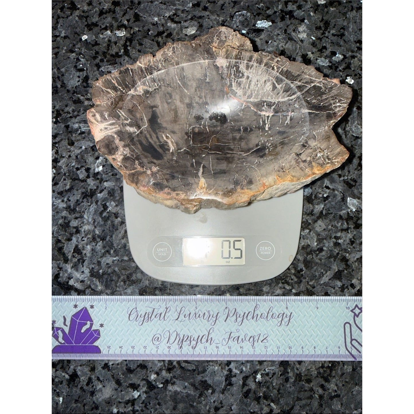 Petrified Wood Custom Bowl B 5 x 7.25” 4 LBS