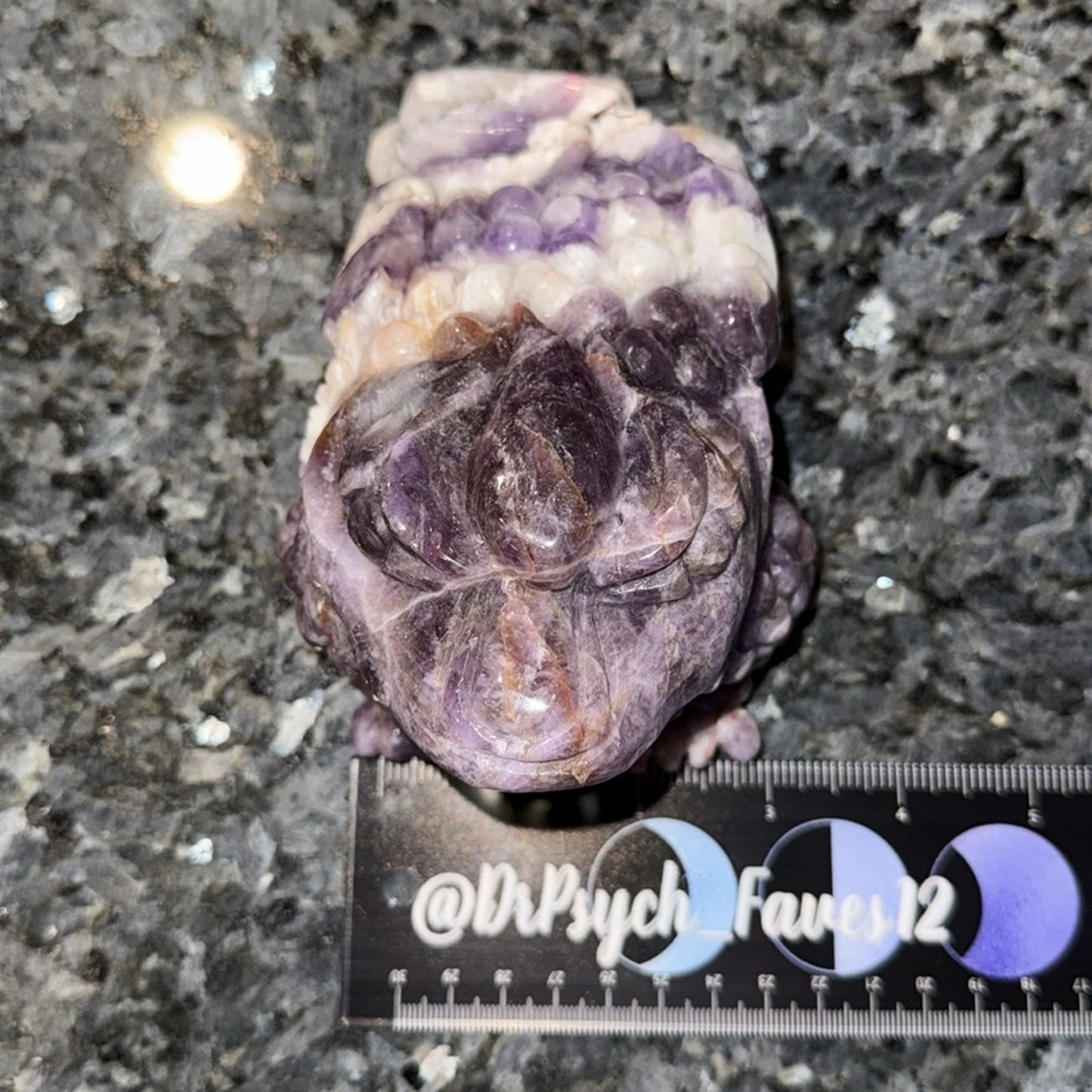 Dream Amethyst Crystal Money Toad 3lbs