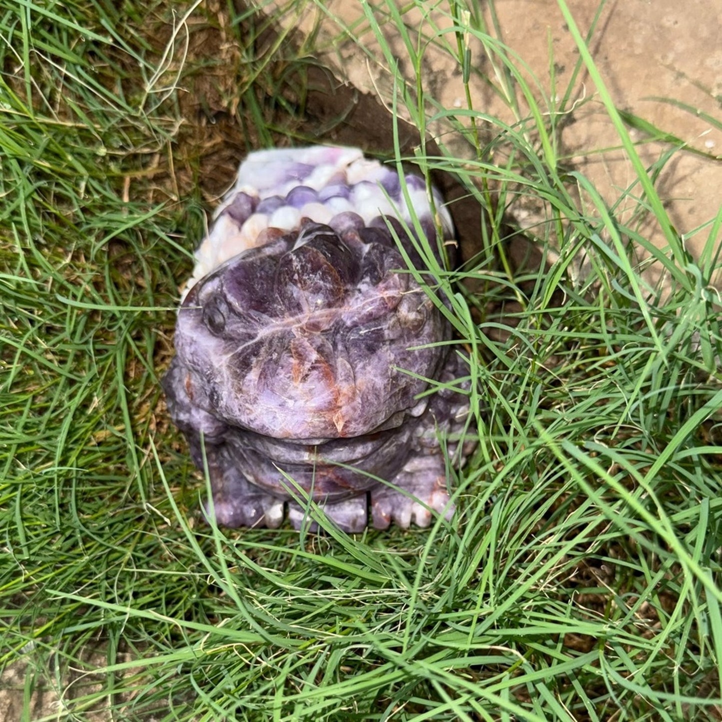 Dream Amethyst Crystal Money Toad 3lbs