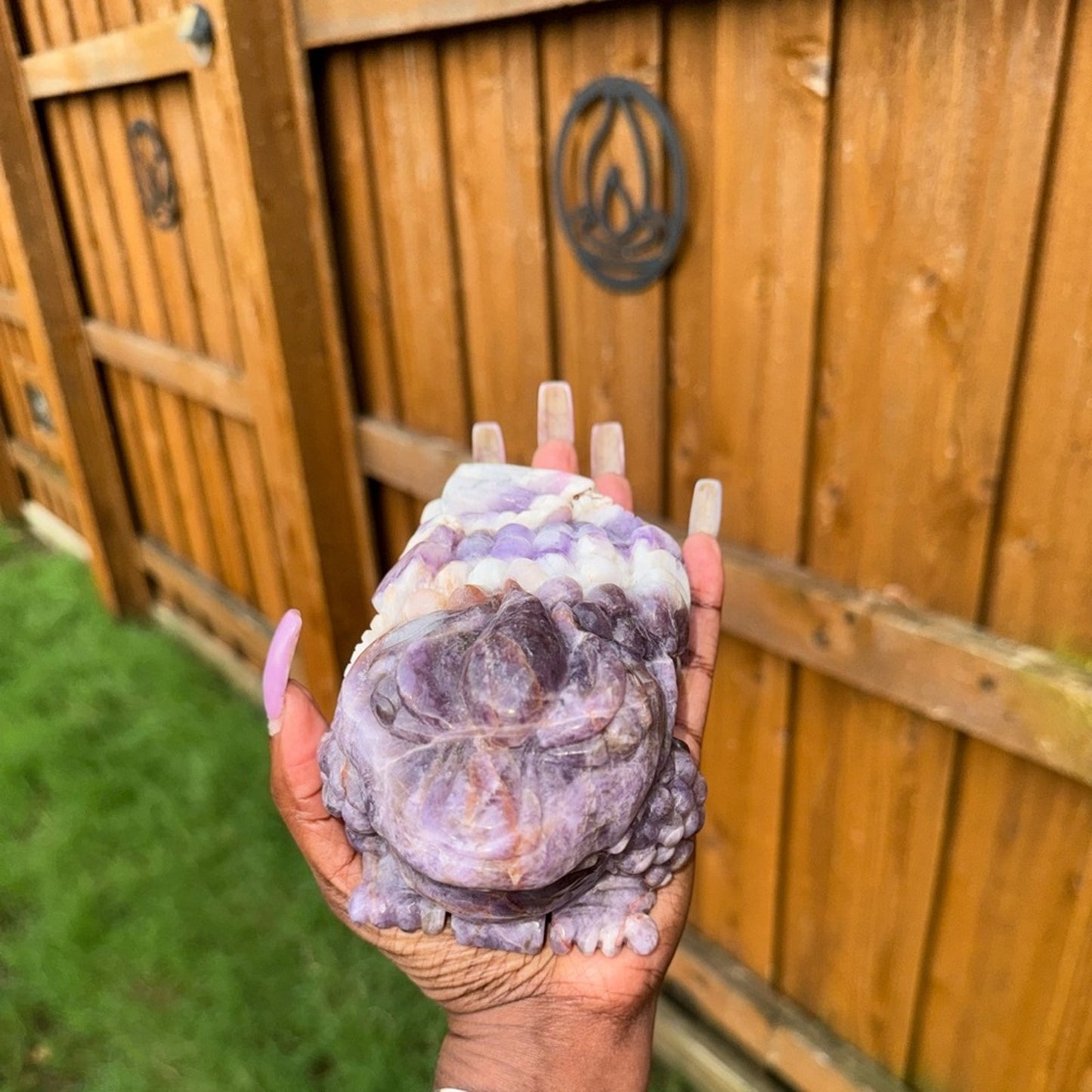 Dream Amethyst Crystal Money Toad 3lbs