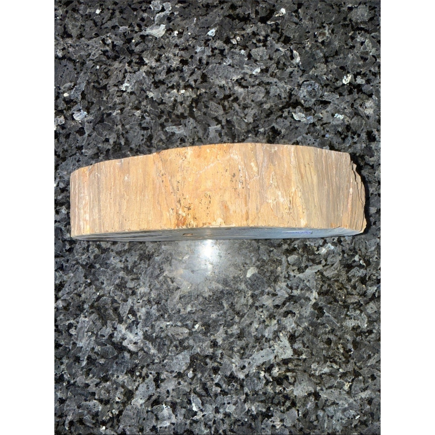 Petrified Wood Custom Bowl A 4.75 x 8.25 4+ LBS