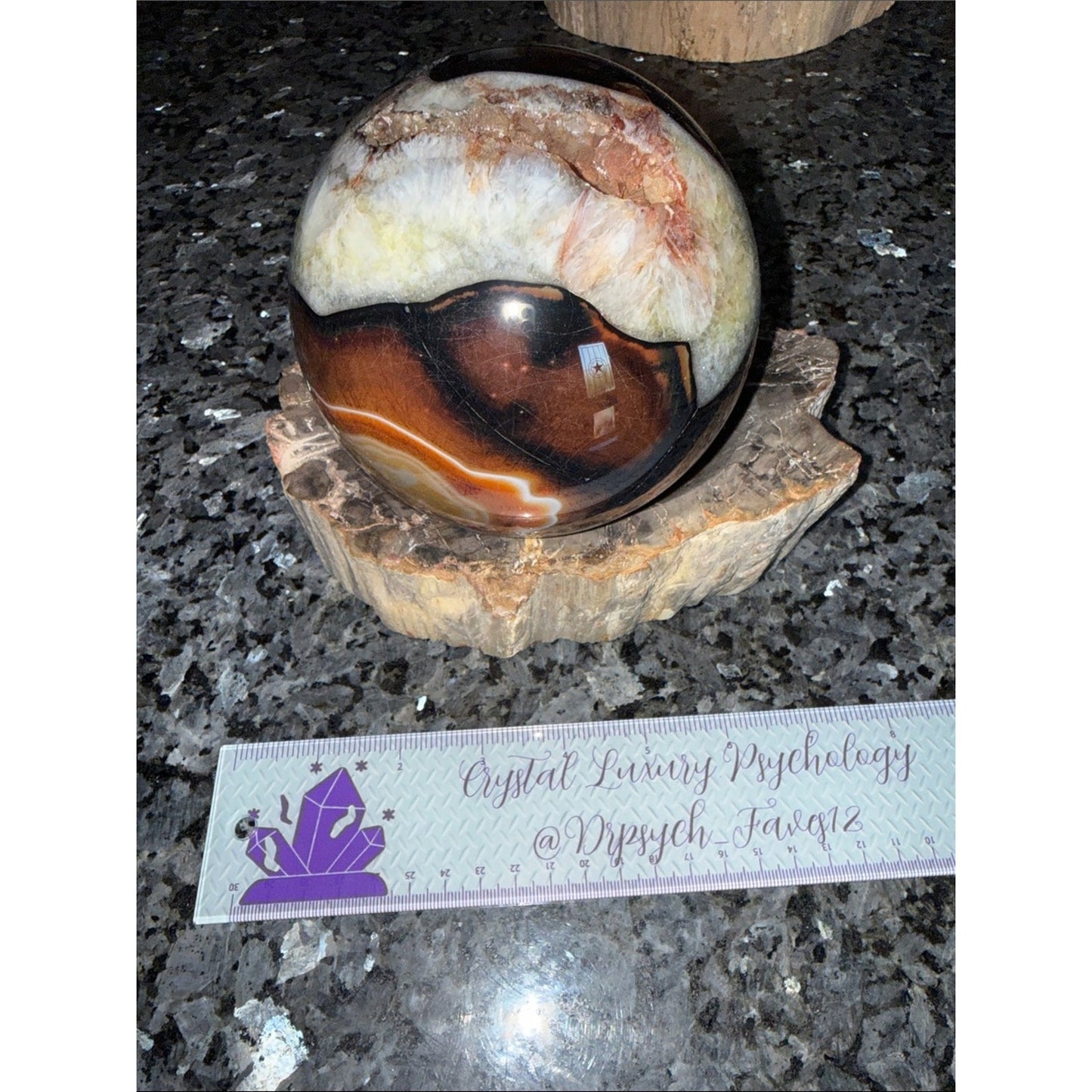 Petrified Wood Custom Bowl B 5 x 7.25” 4 LBS