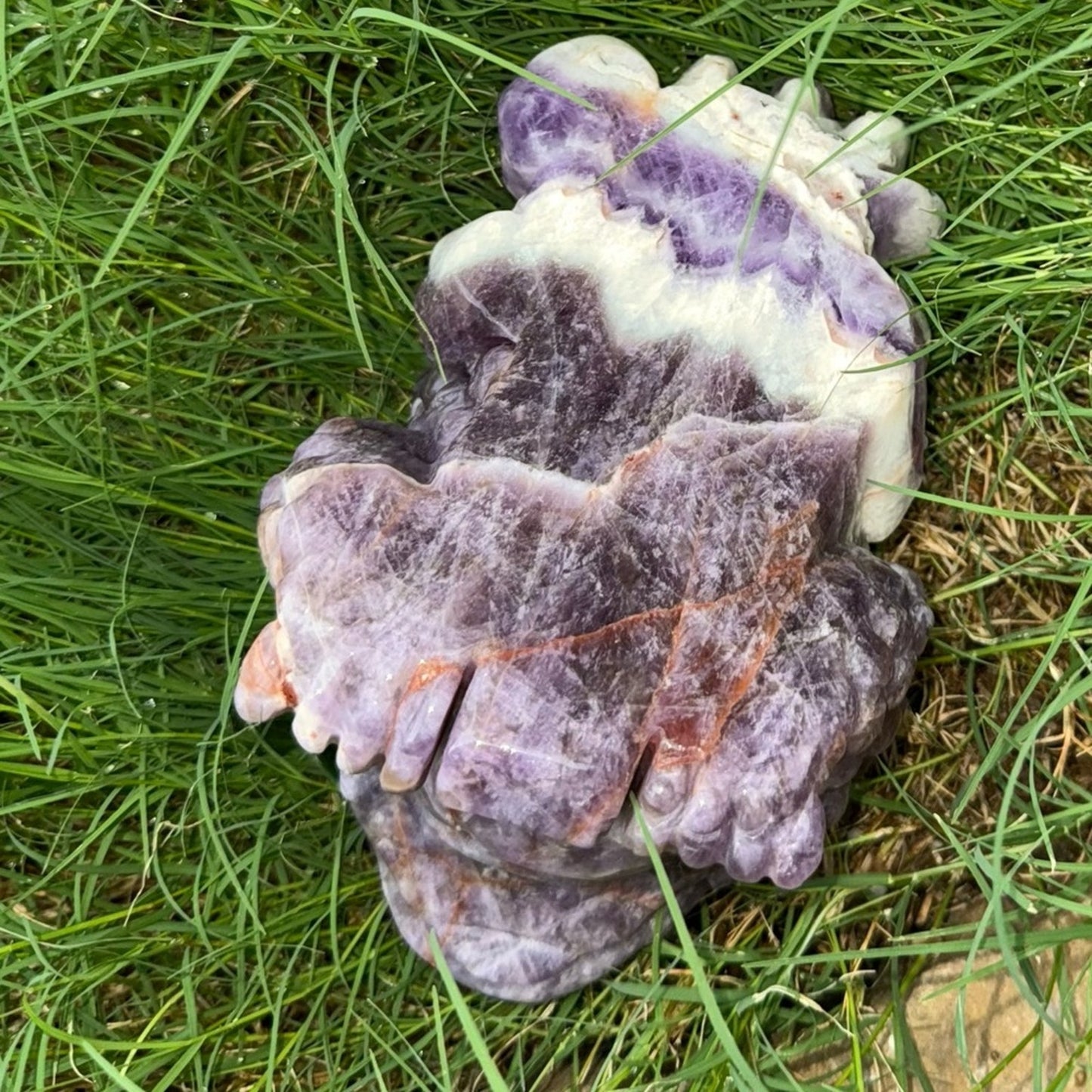 Dream Amethyst Crystal Money Toad 3lbs